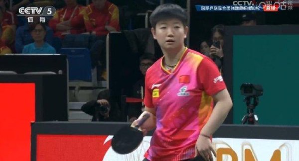 混团世界杯国乒8-1美国豪取3连胜 小组第一进8强
