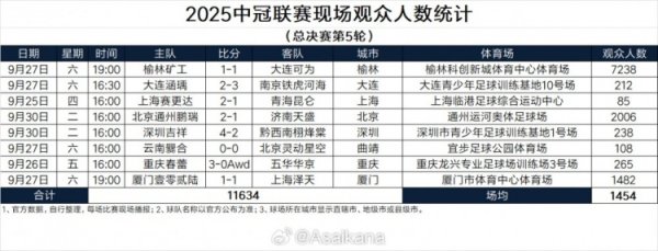 2025中冠职业联赛  现场观赛人群  人数统计（总总决赛  第5轮）