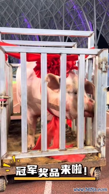 五华县文体局回应县超第一名  奖励一头猪：寓意财富满满