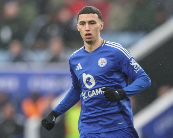 记者：水晶宫为签埃尔哈努斯提出更高报价，仍被蓝狐拒绝